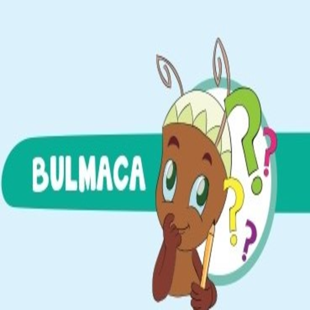 Kelimeleri bulalım!